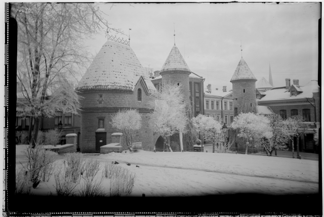 Winter view from Virumägi to Viru Gate