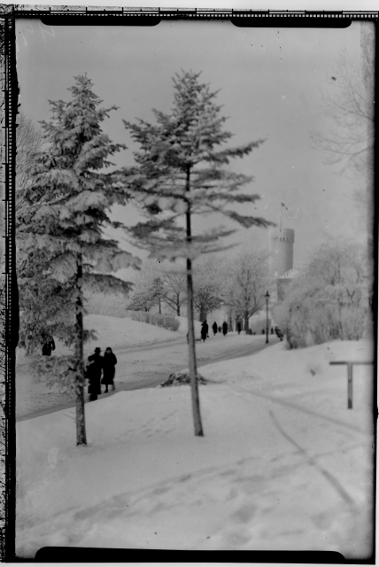 Tallinn Winter view, Tallinn Pikk Hermann