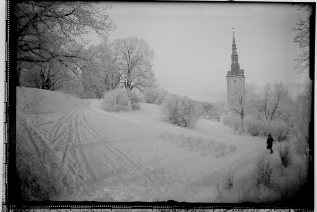 Winter Tallinn-View, the tower of the Niguliste Church