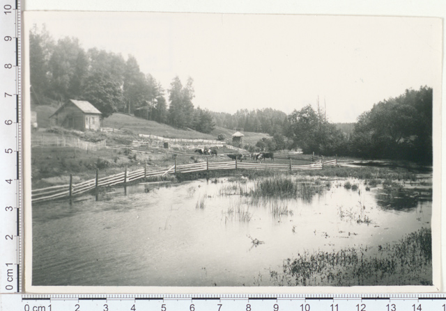 View of Peedu veski from the oak to the Elva River, Ring Khk 1921