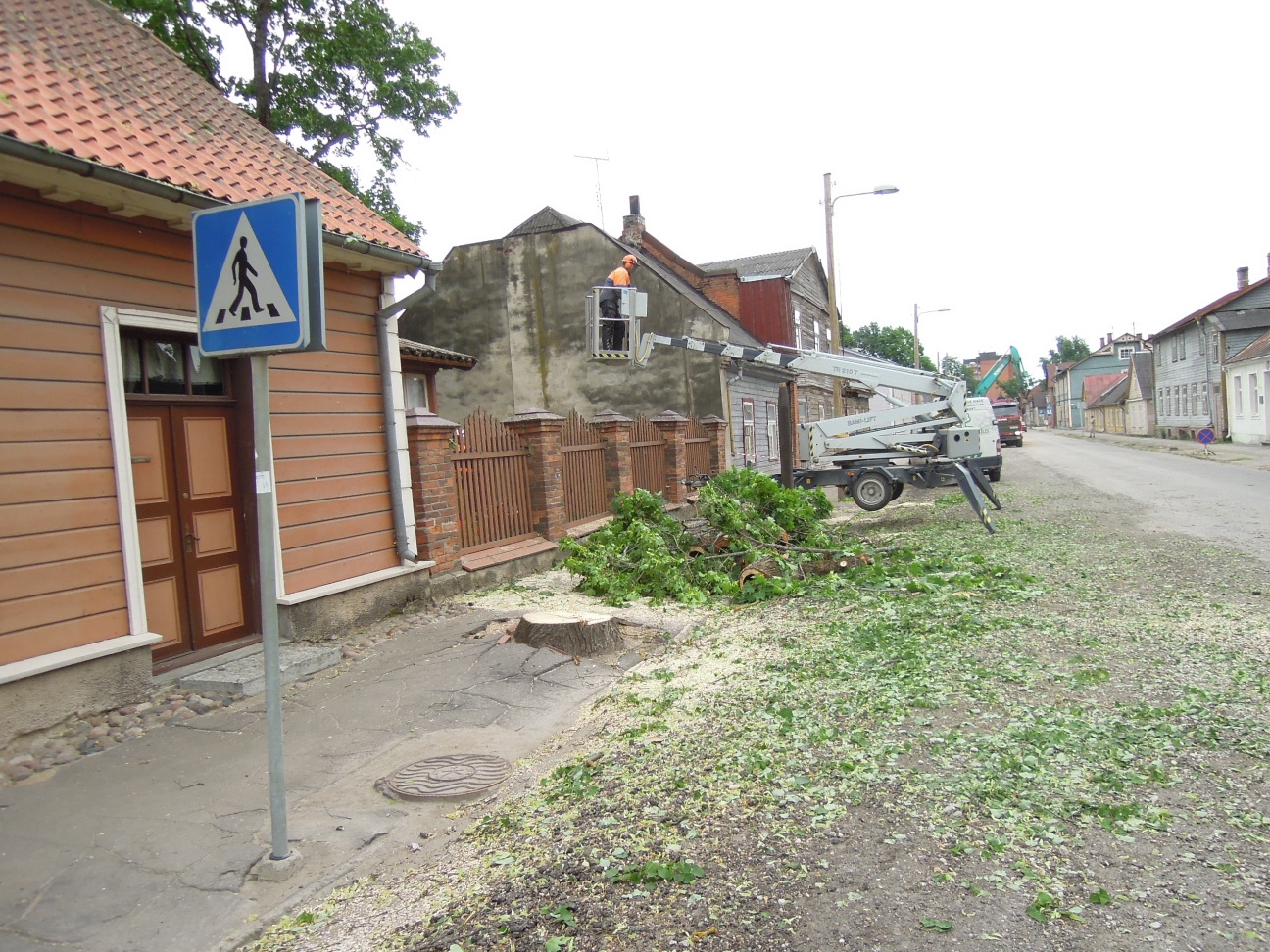 Photo. Deforestation of trees on Kreutzwald Street. Võru, 10.06.2013.