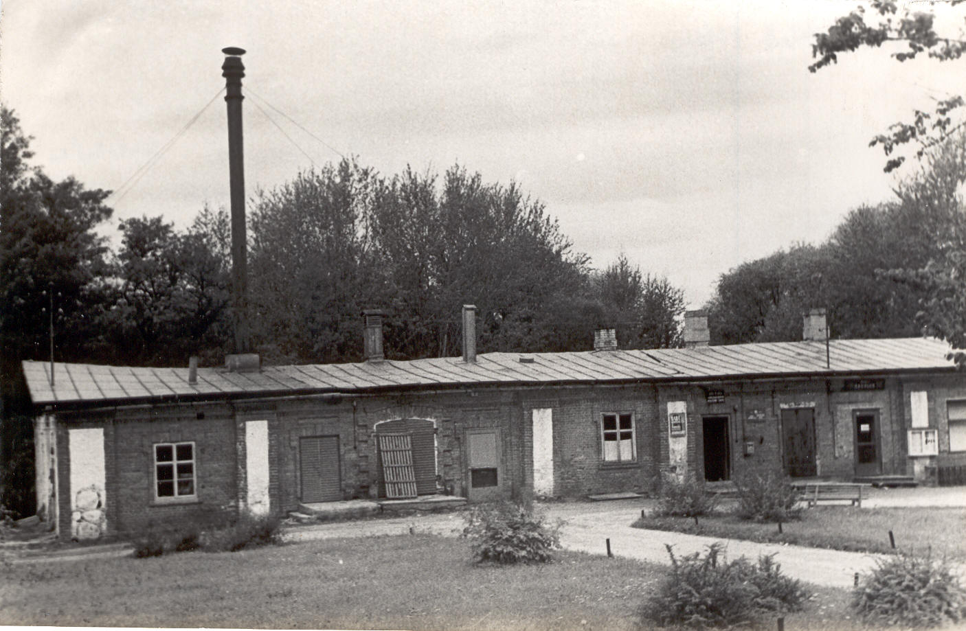 Photo. Väimela Manor's ointment.