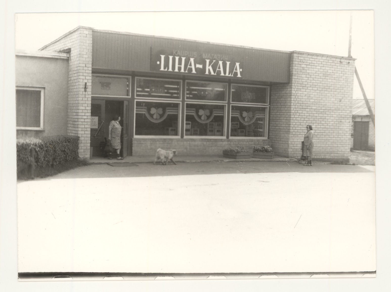 Shop Liha-Kala