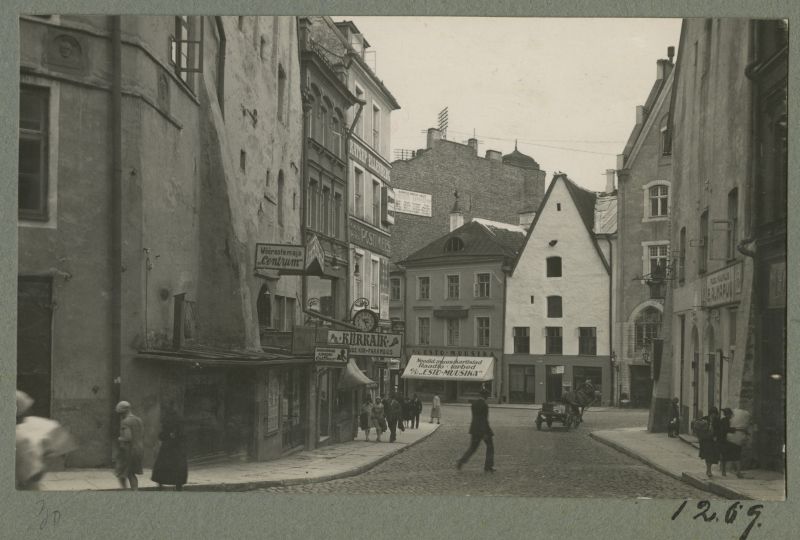 Old Town of Tallinn. Old-turu neck.