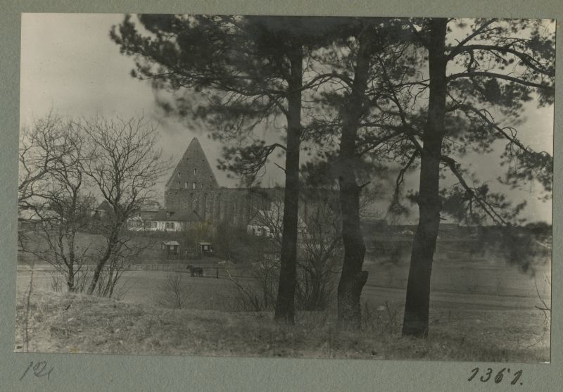 View of the ruins of the Pirita monastery, the trees at the forefront.