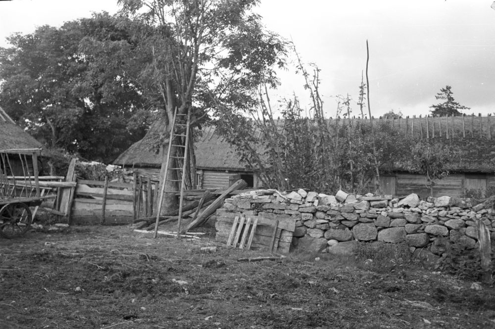The yard of the mountain farm in Tõnija village.