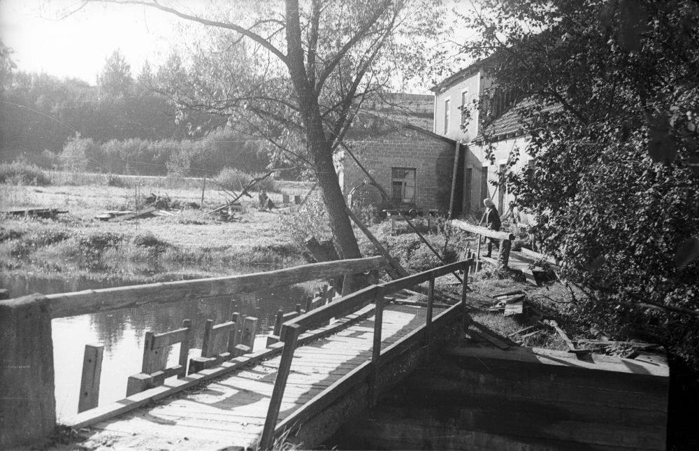 Eomõisa Waterwater (1932), view of the oak.
