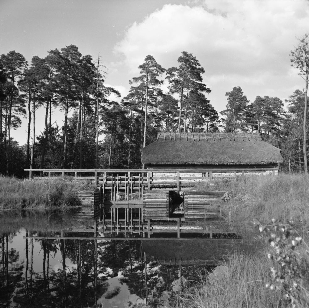 Water mill in the Estonian Free Air Museum.