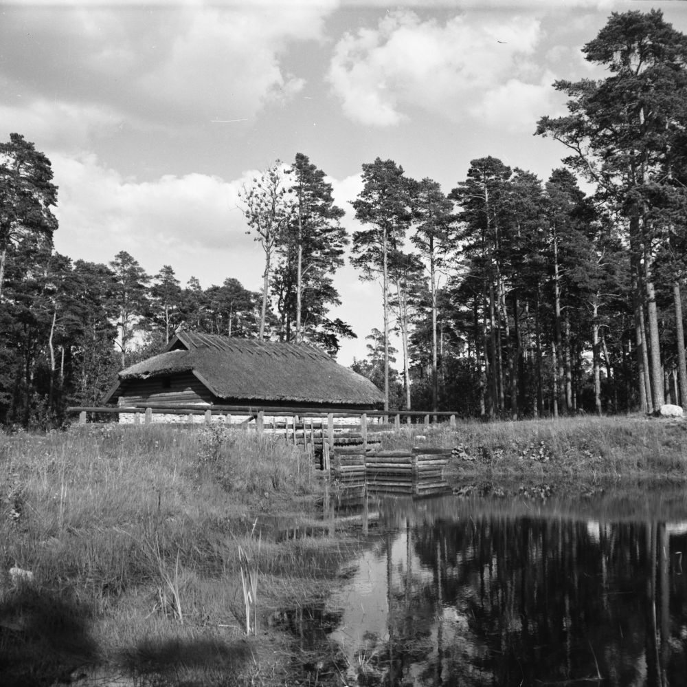 Water mill in the Estonian Free Air Museum.