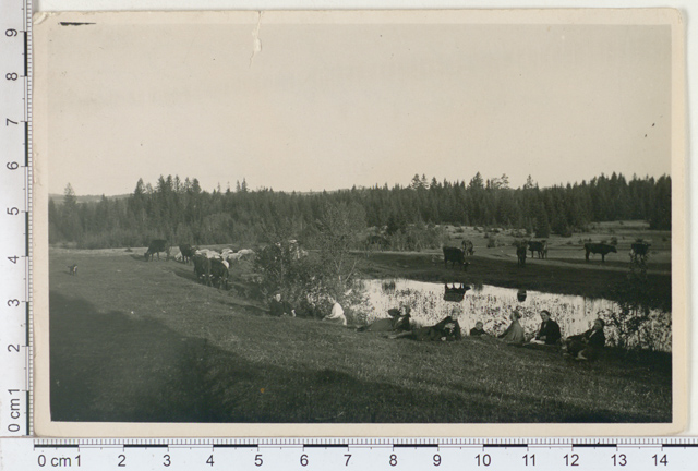 Landscape Pritsus, Otepää khk 1924