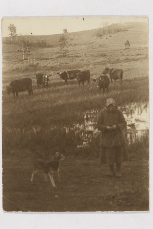 Woman with a dog in the pasture