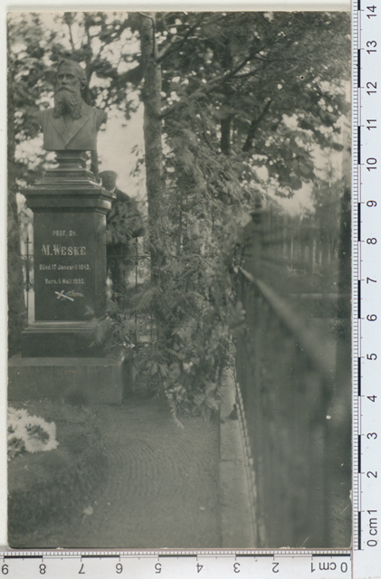 Prof. Dr. m. Veske's chest shape on his grave in 1924