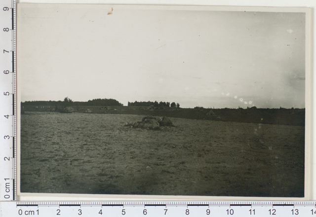 Rändstone in the field, landscape near Räpina, Võrumaa 1924