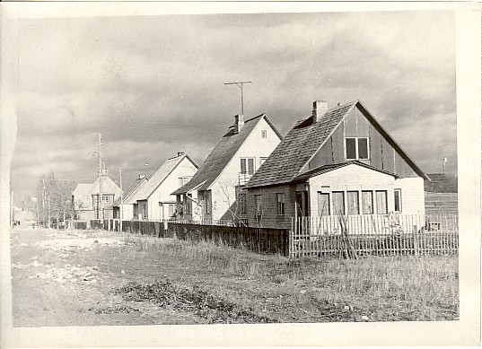 Photo, Järva-Jaani Kalda t. individual shelves in 1964.