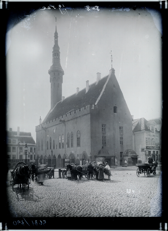 Raekoda