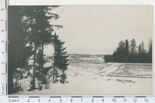Landscape near Puka 1919