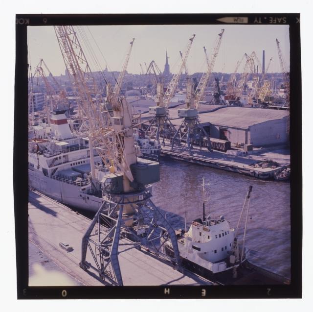 Merchant port. Many ships in the port.