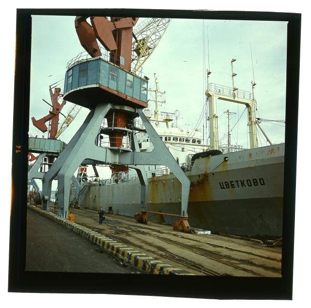 Merchant port. Many ships in the port.