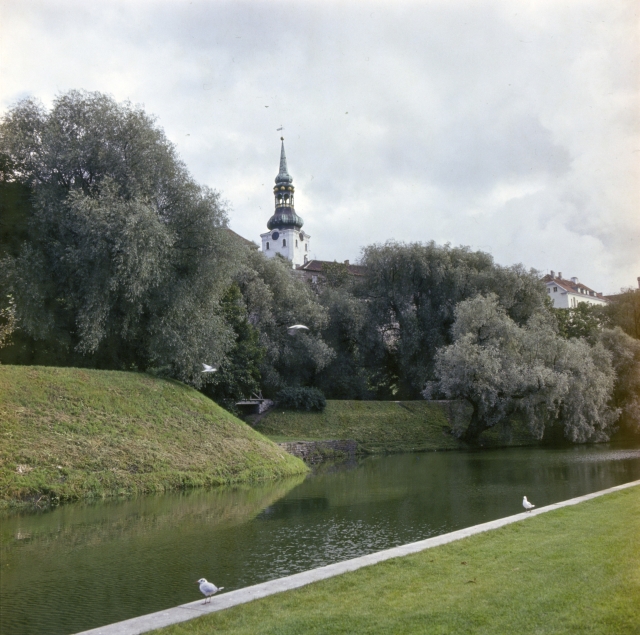 Tallinn. At the wing of Šnelli.
