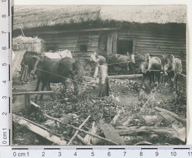 Rehepeks Kokas - family, Ruhnu