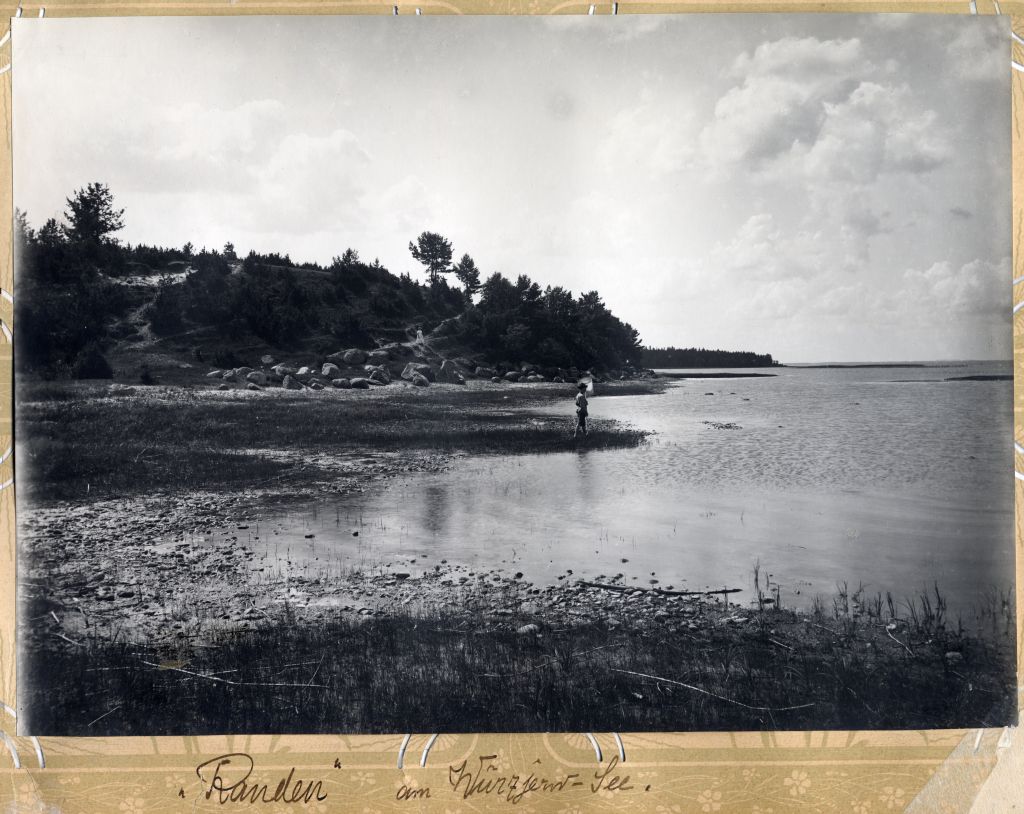 View from Lake Võrtsjärv Beach