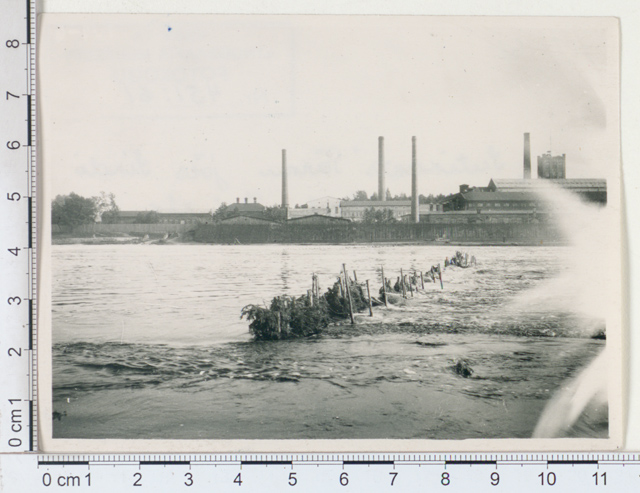 "sutikants" in Pärnu River, above Sindi factory, Tori khk