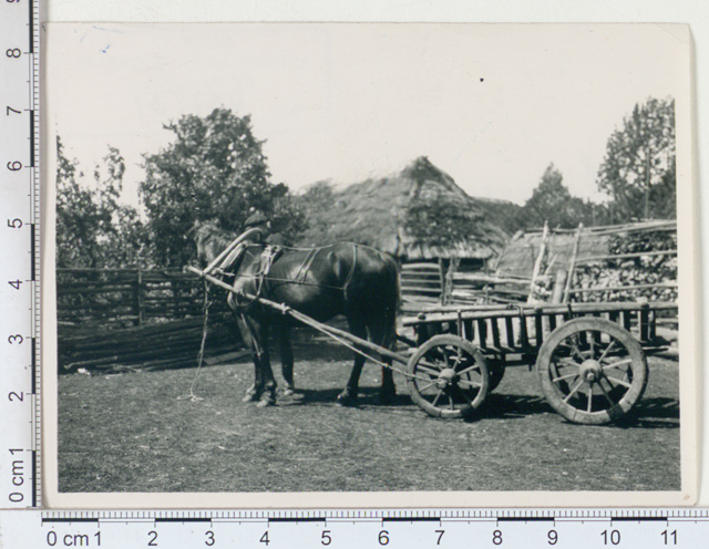 Horse and wooden vanker p. -Jaagupi, Änge v, Anema village