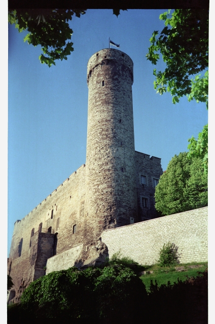 Long Hermann and Toompea Castle