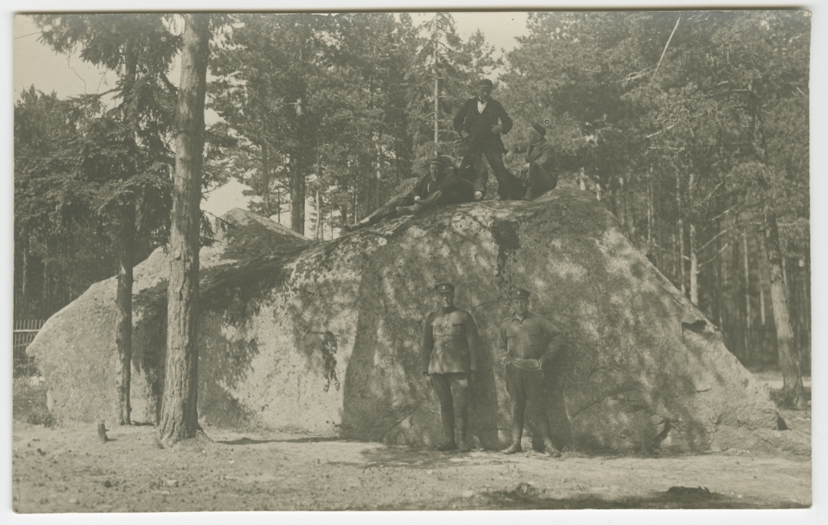 Members of the company "Tehnola" and military personnel in the pine forest at the emigrantrahnu