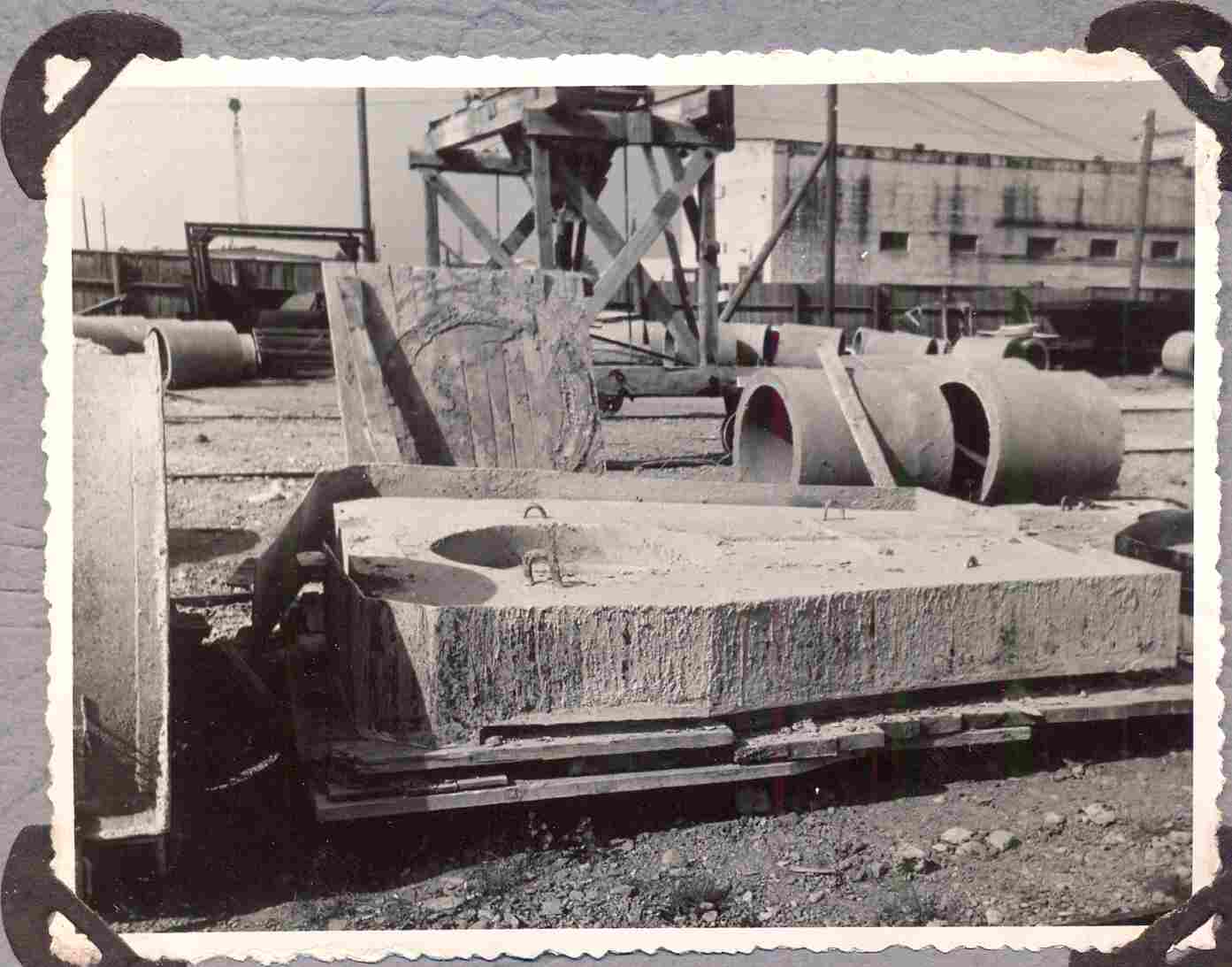 Photo Papiniide polygon