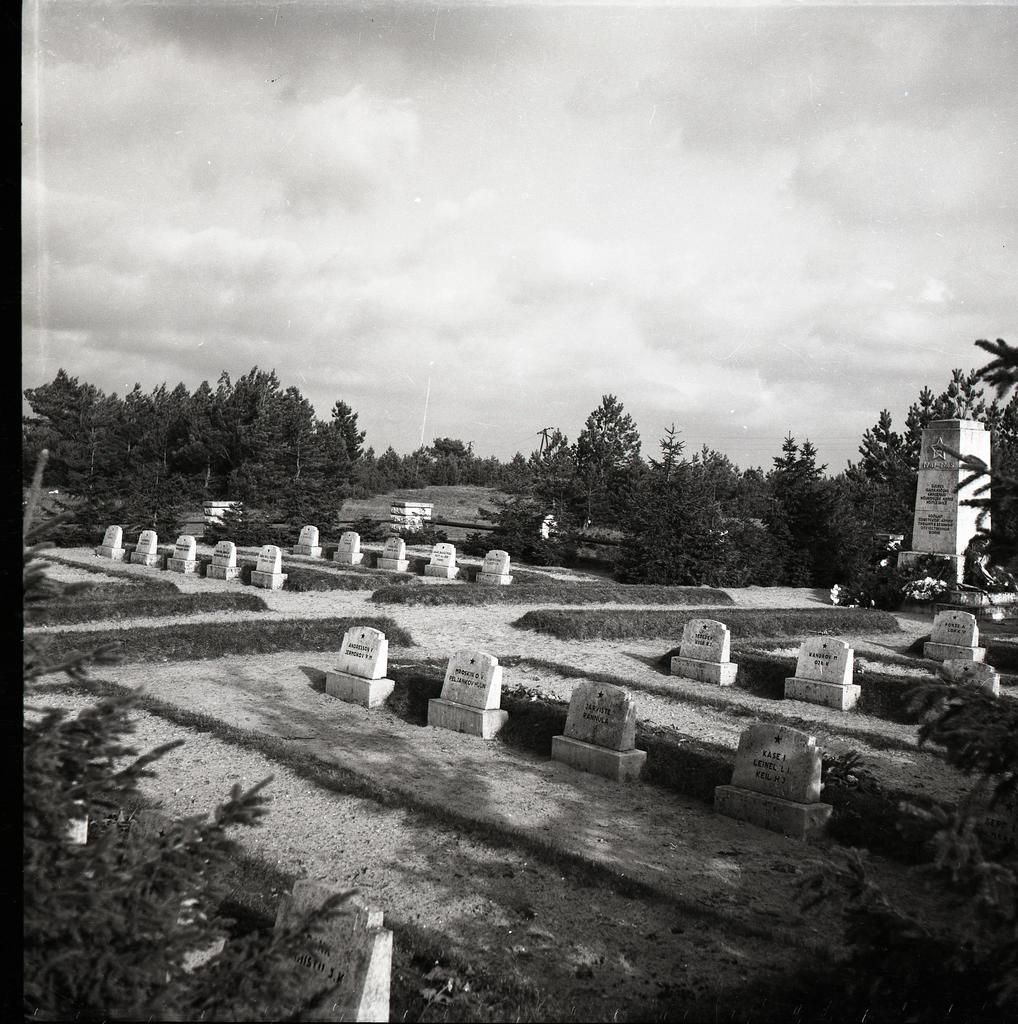 Cemetery at Tehumard battlefield
