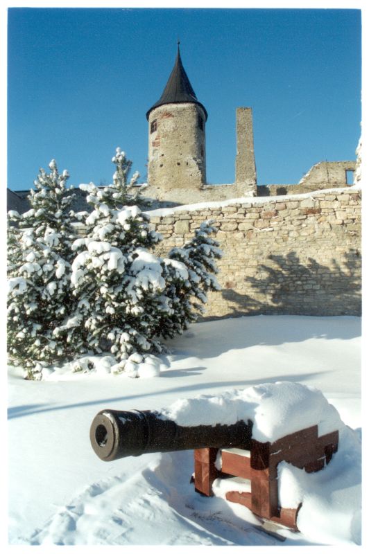 Photo. Watch Tower and cannon in winter. Color photo.