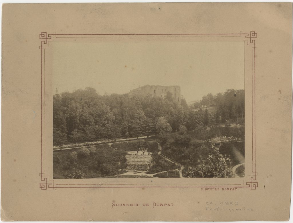 General view of the ruins of Tartu Toomkirik