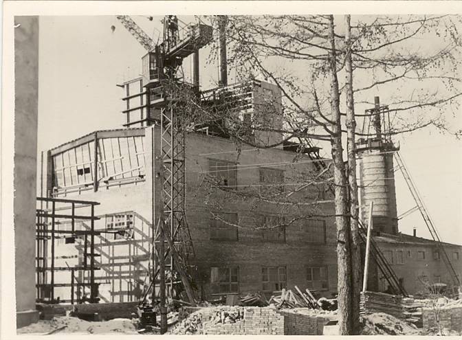 Construction of cells in the Lubjay plant