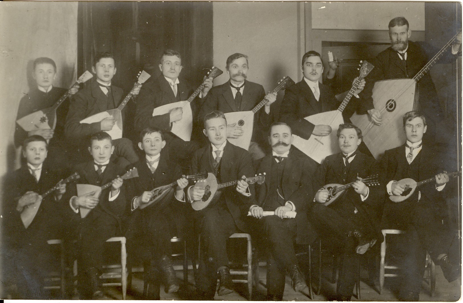 Dog’s string orchestra