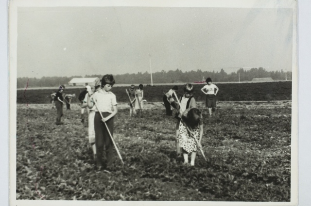 Tpl (working and recreation camp) "Rahva Võit" scratching in Colhose, 1982