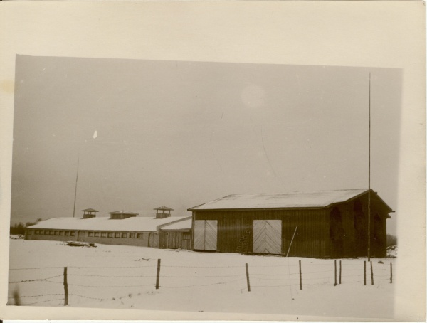Photo, Särevere sovhose new cattle board in Piiometsa in 1962.