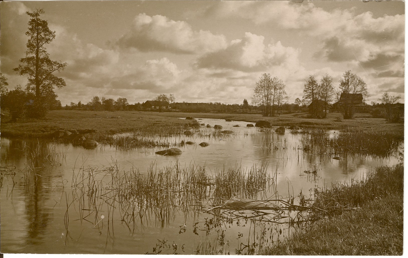 Türi- Allik River