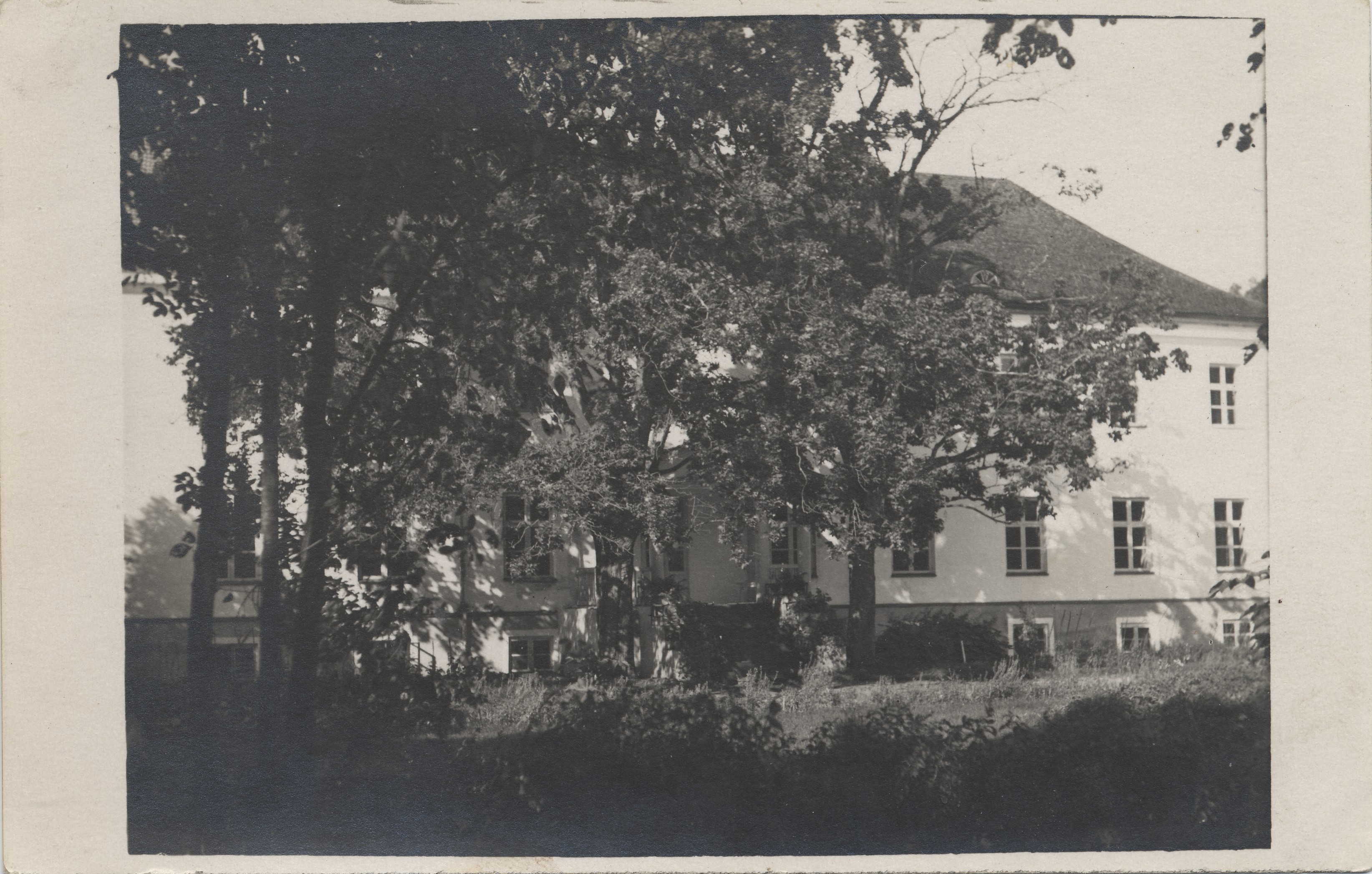 Voltwet Forest School 1931