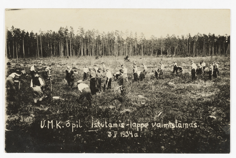 Voltwet Forest School (V.M.K.) Students preparing planting laps, 1934