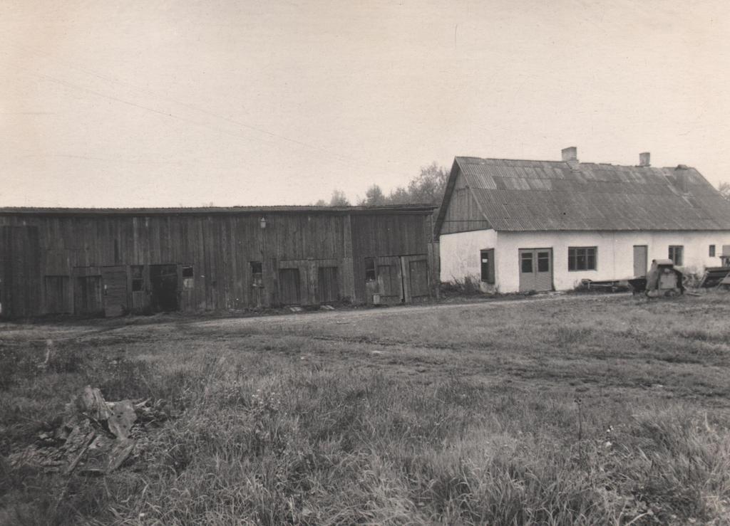 Voltwet production chess, woodworking house, sauna