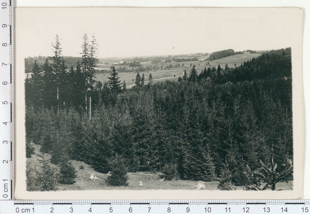 View from the Tower of the Puhja Church in the Kavilda Valley in 1921
