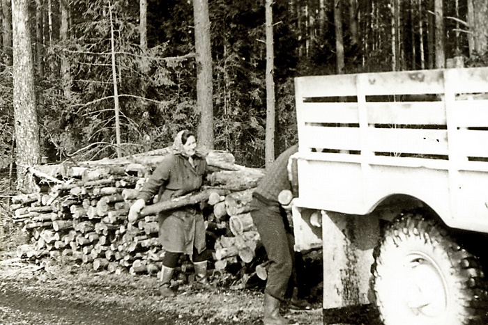 Photocopy. Loading wooden loads in the forest for truck Gaz 66