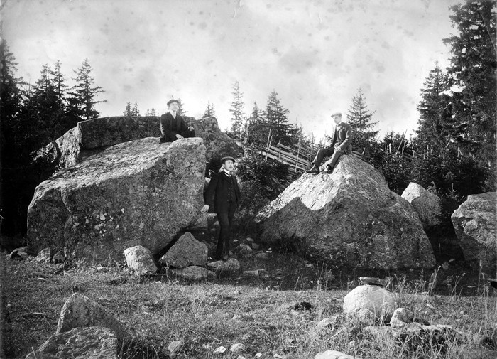 Helmersen stones in Paluküla