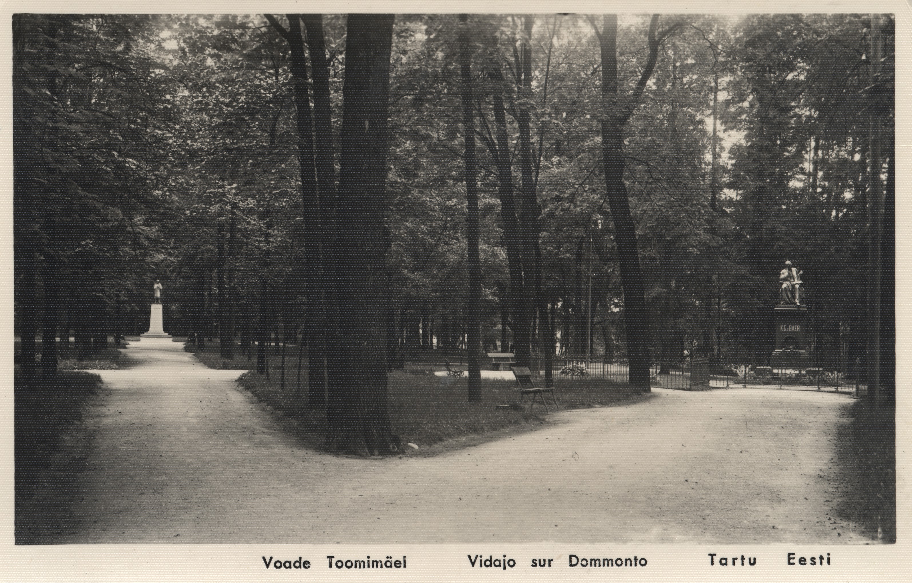 Tartu Estonia : view Toomimäel = vidajo sur Dommonto