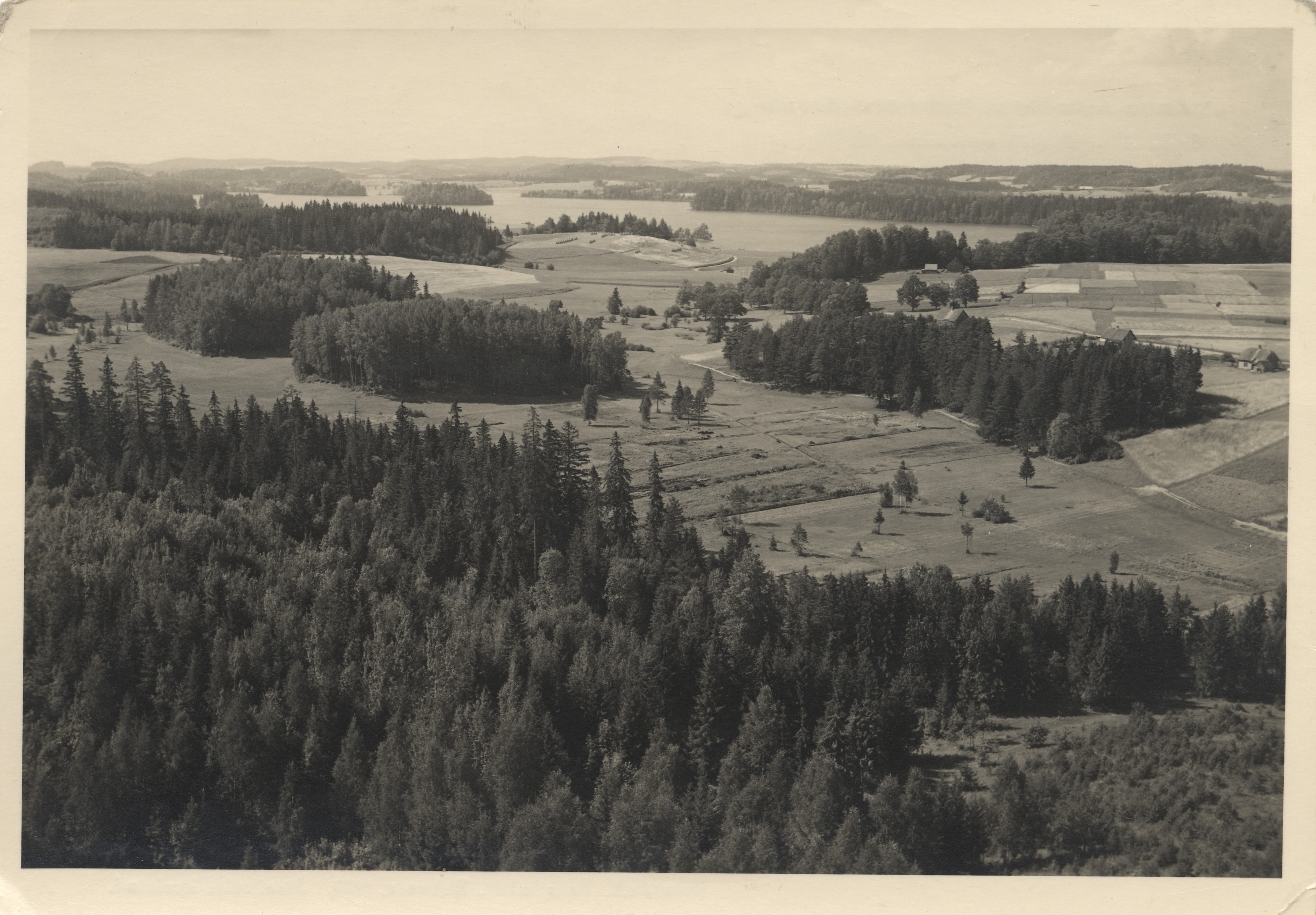 View from pharmacy to Pühajärvi