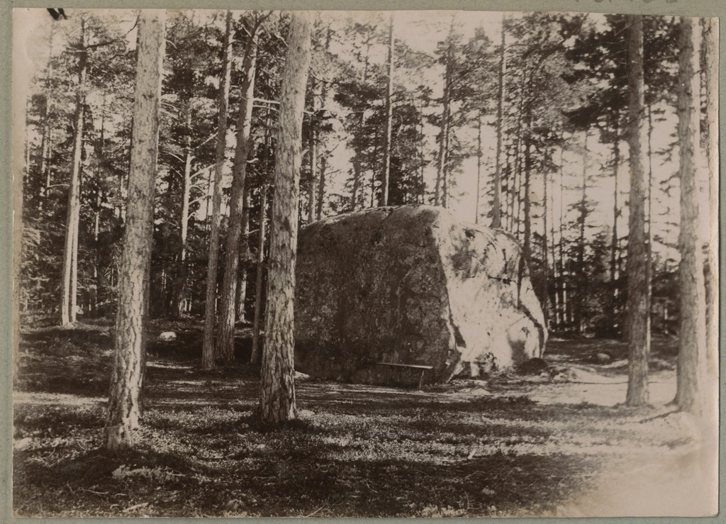 Suur rändrahn metsas / A large erratic boulder in the woods