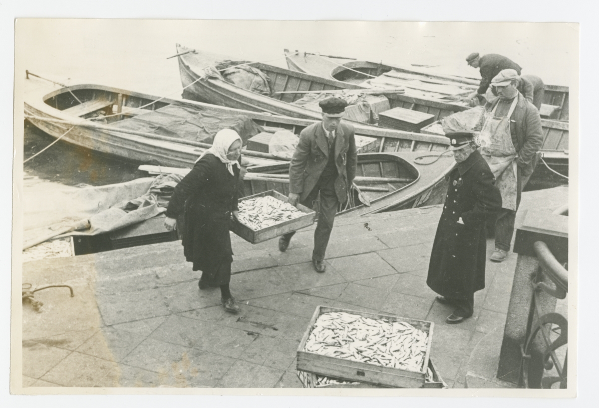 Finnish fishermen with silk in the port of Tallinn