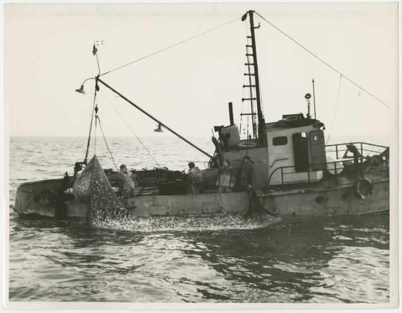 Etkvl Pärnu Kalamajandi fishermen in trawling in the Gulf of Riga.