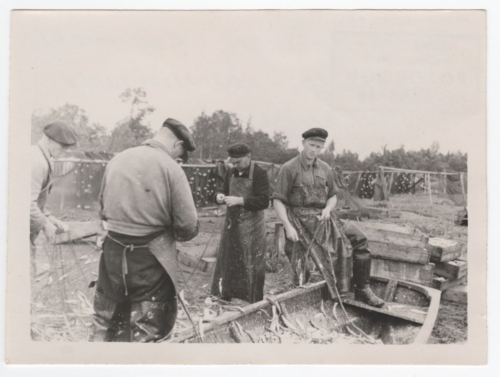 Kiideva fishermen in Saaremaa Anseküla during migration